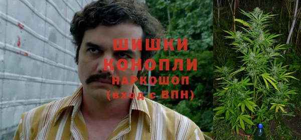 дурь Алексеевка