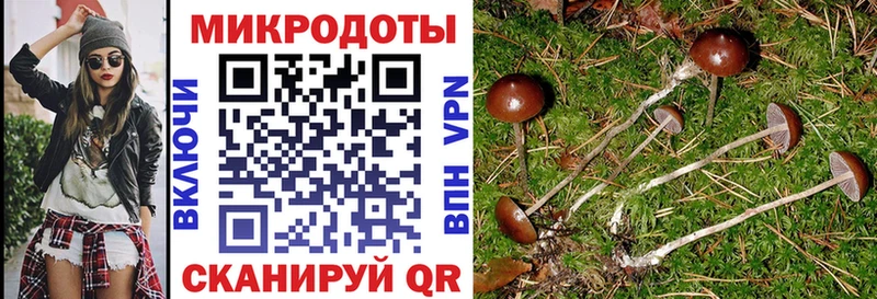 даркнет сайт  Елизово  Псилоцибиновые грибы Psilocybine cubensis 