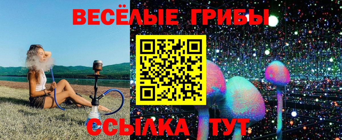 Елизово  Галлюциногенные грибы Psilocybe  Вход с VPN 